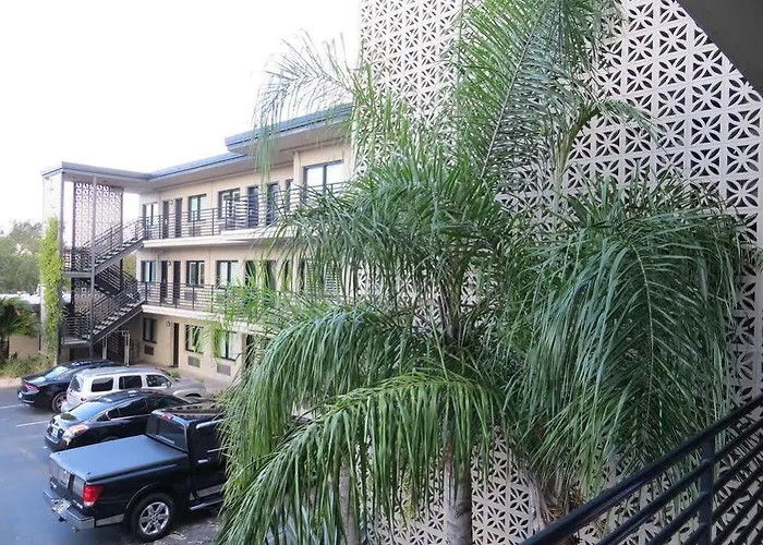 Sole And Hotel